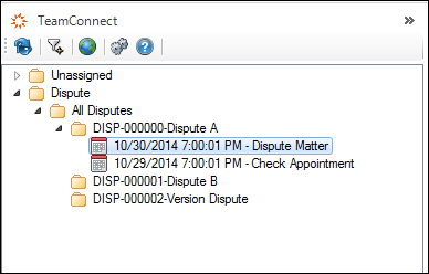 TeamConnect Appointment View