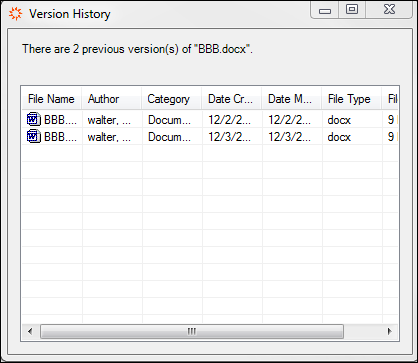 Document Version History