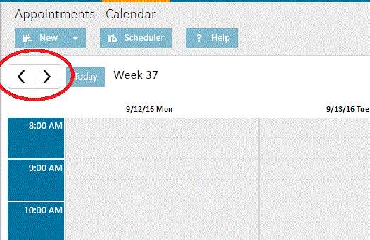 Navigation Buttons in the Calendar View