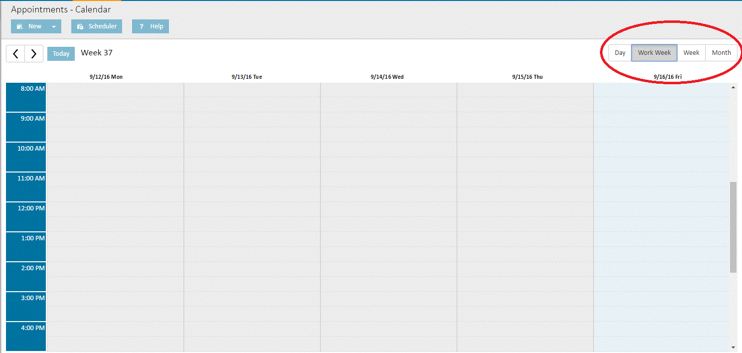 Calendar Work Week View